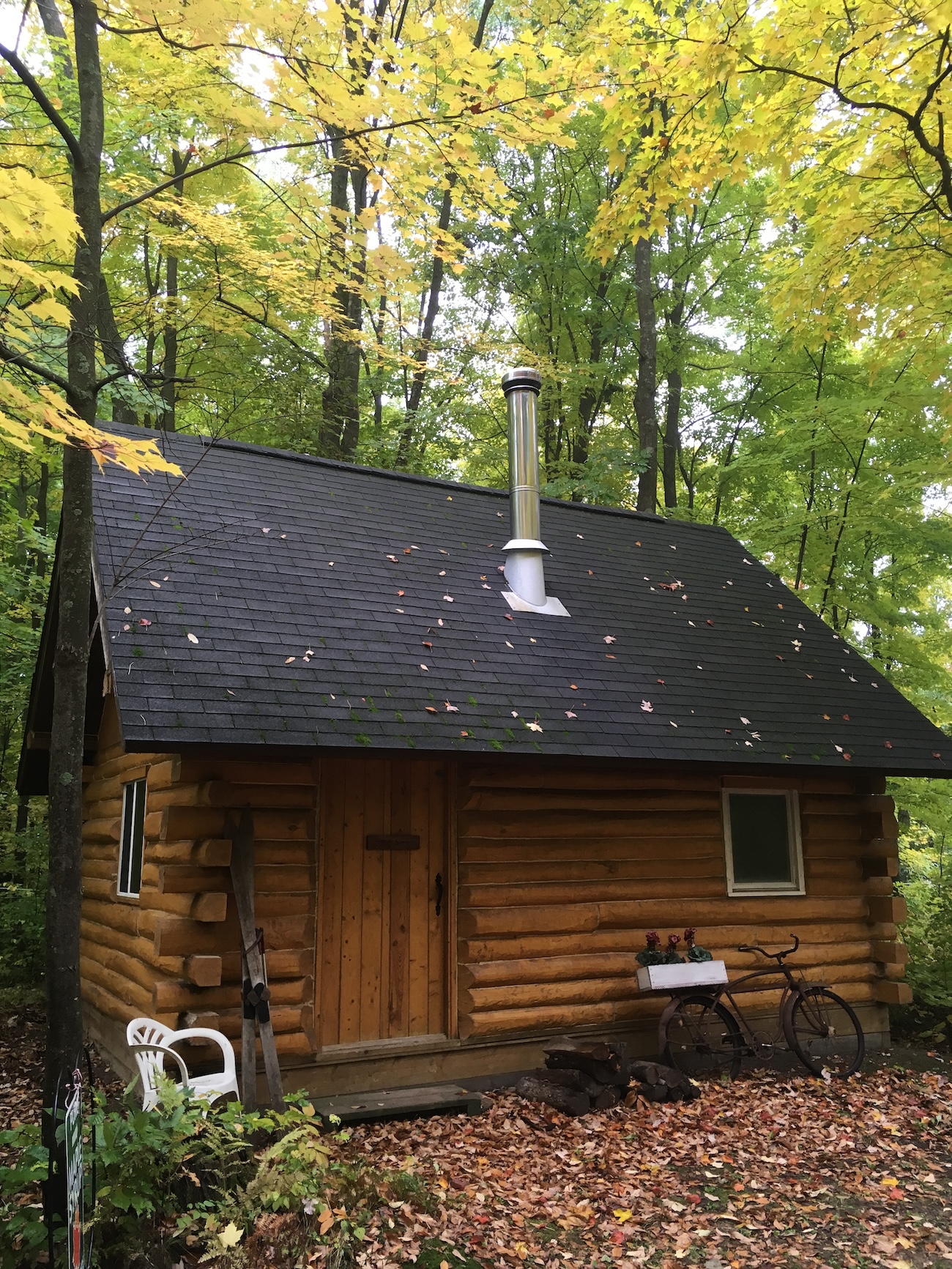 Our cabin in the summer